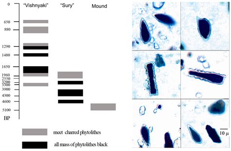 Holocene Environmental and Anthropogenic Changes of Soils and ...