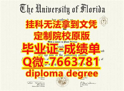 急需国外文凭入职办哥廷根大学毕业证书原版一模一样 | PDF