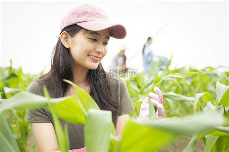 女人们在农田里干活高清图片下载-正版图片502245791-摄图网