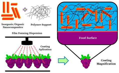 Nanosystems in Edible Coatings: A Novel Strategy for Food Preservation