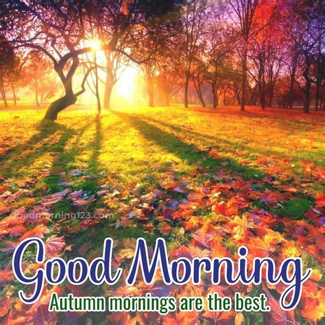 Autumn Good Morning
