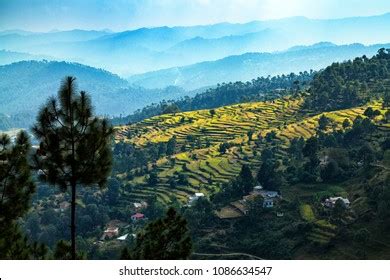 Image result for Wavedrom JavaScript Editor