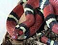Image result for Operaciones Con Matrices Numpy Python