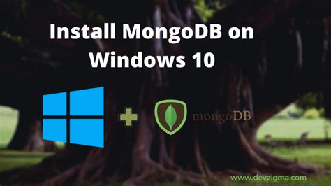MongoDB Download Windows 的图像结果