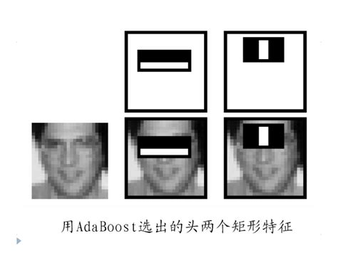 Detection 2021 的图像结果