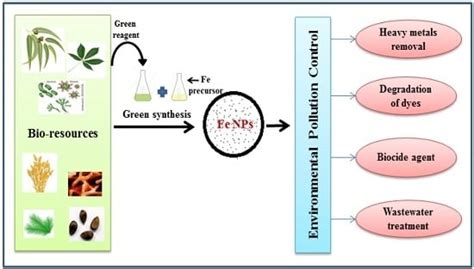 Green Synthesis of Iron Nanoparticles and Their Environmental ...