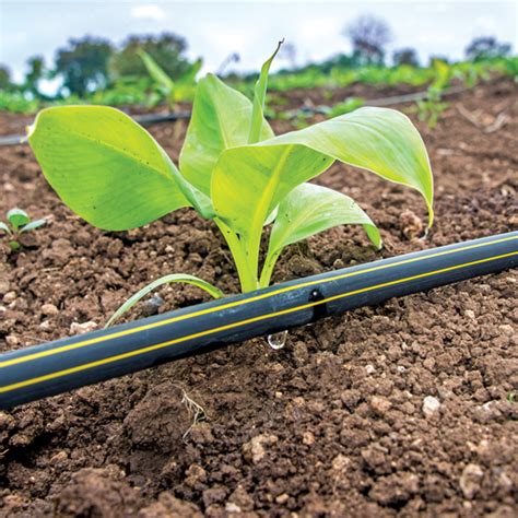 Jain Irrigation Systems | Shop Online | JISL Sprinklers & Drip Kits