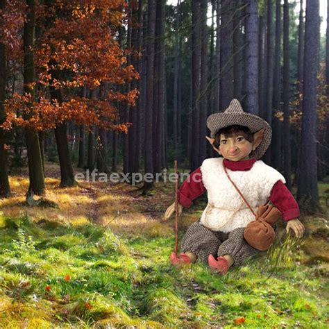 41002 Midhir – Elfa Experience – Onil – Alicante