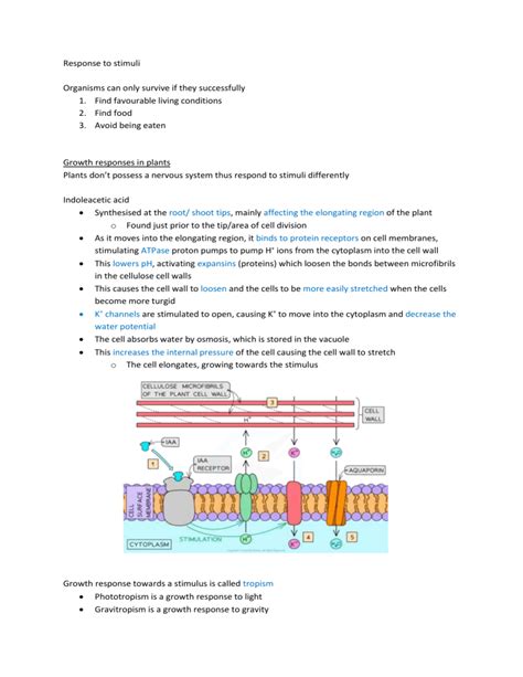Response to Stimuli Example 的图像结果