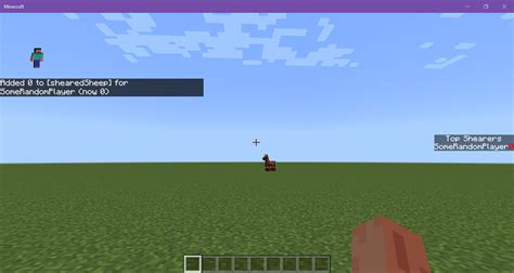 Image result for Scoreboard Minecraft Java