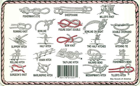 Knot Tying Scouts Printable