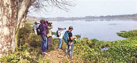 Survey of migratory birds in North Bengal underway