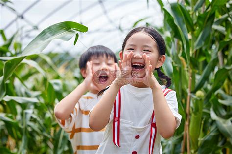 在农业大棚玉米地里的小孩开心呐喊高清图片下载-正版图片501785736-摄图网