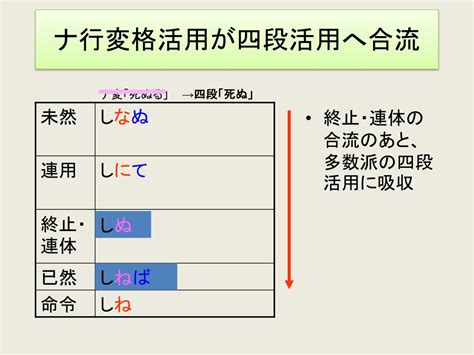 Auto Docstring Visual Studio 的图像结果