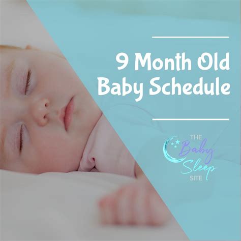 7 Month Old Baby Schedule | The Baby Sleep Site®