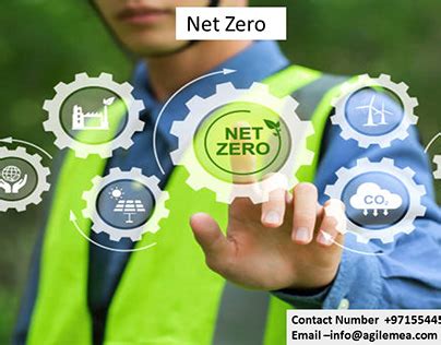 Image result for NetZero Logo