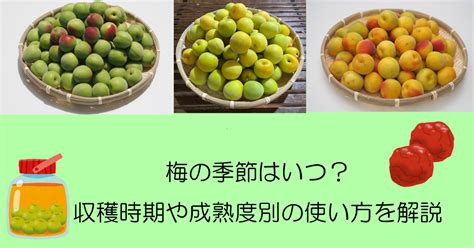 Thread En Python 的图像结果
