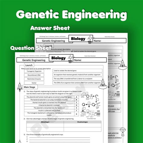 Basic Genetic Engineering GCSE Science OCR 的图像结果