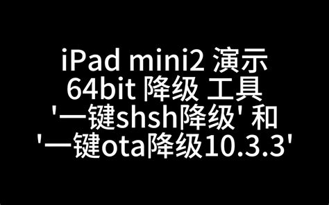 演示！64bit SHSH 降级工具。简化至纯一键降级，shsh降级支持A7～A11设备 sep基带兼容的版本。-亚历山大很累-默认收藏夹-哔 ...