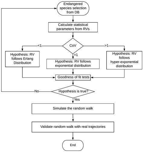 Phase-Type Distributions of Animal Trajectories with Random Walks