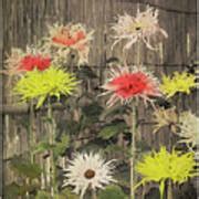 Image result for Sample Localization