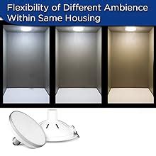 PHILIPS 4W Cool Day White Downlighter, Pack of 1, (929001951720 ...