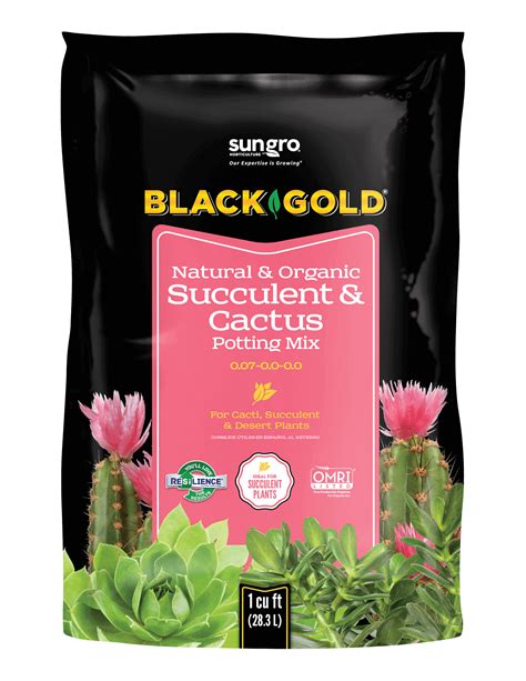 Best Potting Mix For Cactus at Ryan Henderson blog