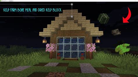 Image result for Auto Kelp Block Farm Java 1 21 5
