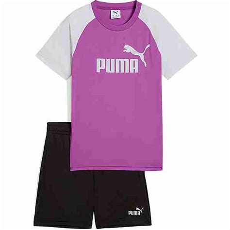 PUMA ESSENTIALS No.1 Logo Trainingsanzug Kinder wild berry im Online ...