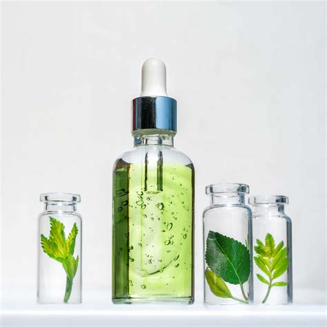 Plant Stem Cells: A Revolution In Anti-Aging Skincare – Slova Cosmetics
