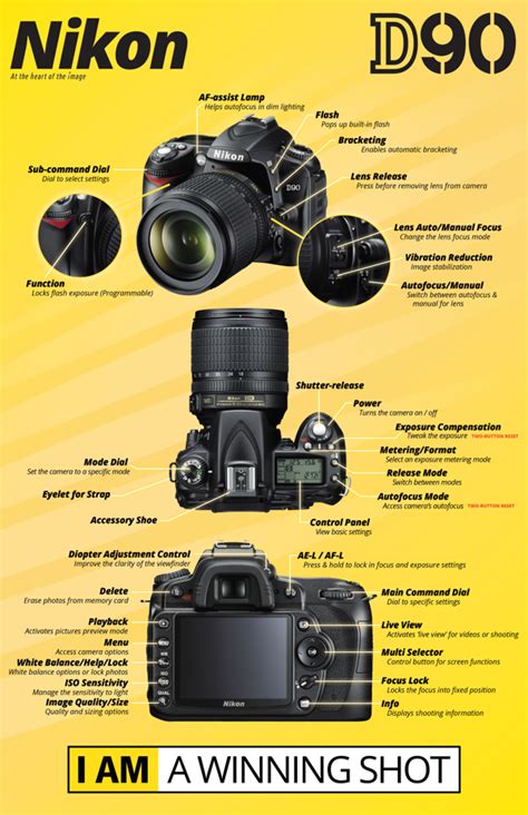 Image result for Canon Camera User Guide