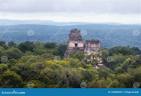 Top of Mayan Temples at Tikal National Park - Guatemala Stock Image ...