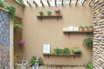 用什么打造你的立体墙面花园？_中国建筑绿化网
