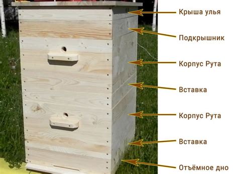 Улей рута технология пчеловождения