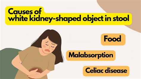 White Kidney Shaped Object In Stool! (Causes, Diagnosis, & Precautions) - HealthCarter