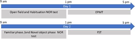 Behavior Experiment 的图像结果