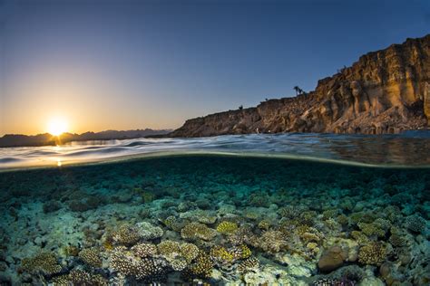 Sustainable Development 的图像结果