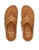 Buy Tan Sandals for Men by PROLIFIC Online | Ajio.com