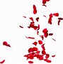 Image result for Red Rose Petals