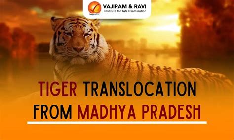 Tiger Translocation from Madhya Pradesh