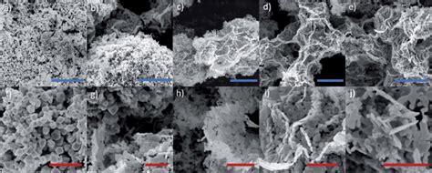 Image result for Scale Bar Magnification
