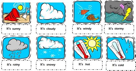 Image result for Wecter Prectice File Download