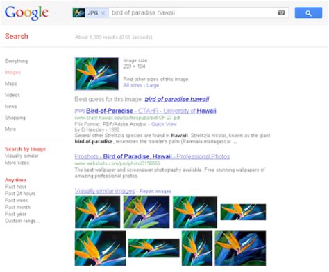 Google улучшила службу Search by Image