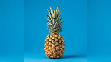 Indian Scientists Develop Fungal-Tolerant Variety For Pineapple Farming ...