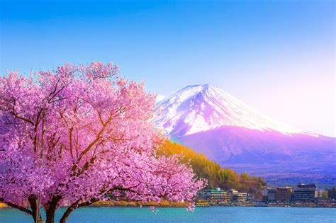 SG-454 美しき日本 2024年カレンダー 日本の美しい風景を集めたカレンダー