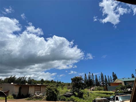 MAUI OFF ROAD ADVENTURES (2025) All You Need to Know BEFORE You Go ...