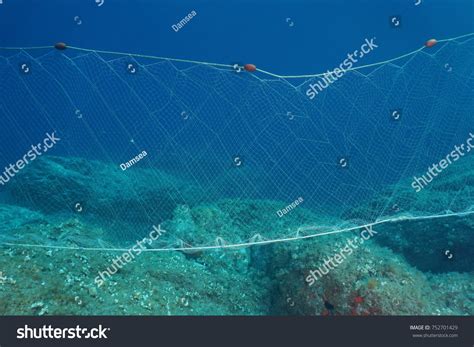 1,233 Gill nets Images, Stock Photos & Vectors | Shutterstock