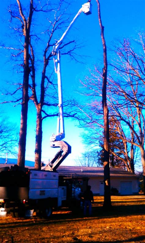 Image result for Tree Remval Tractor