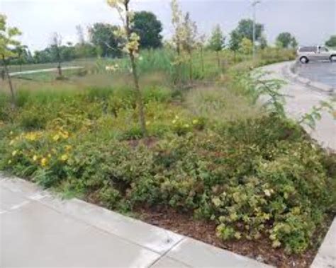 Lakeside Park 2021, #13 top things to do in mississauga, ontario ...