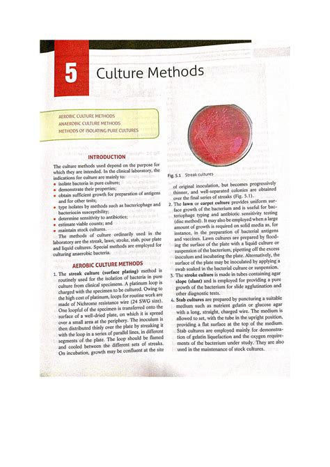 Micro ch5 - Bsc nursing - Studocu